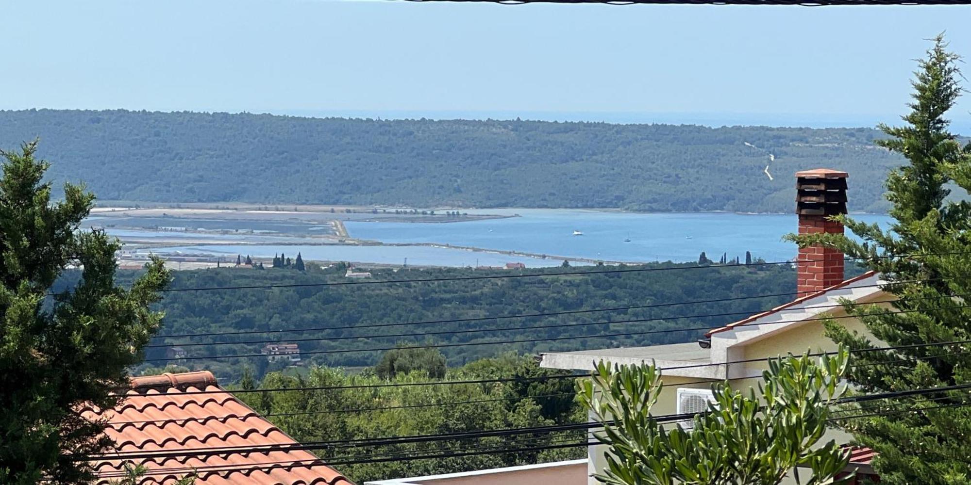 Hilltop Apartments Red & Blue Portoroz Bagian luar foto